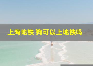 上海地铁 狗可以上地铁吗